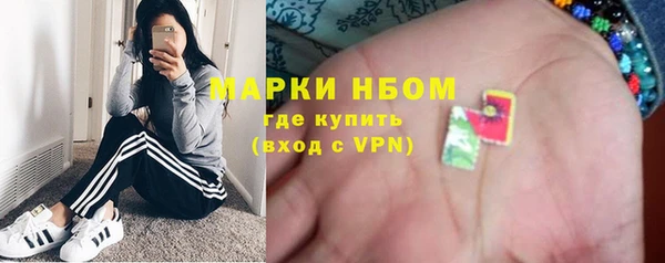 прущий лед Алзамай
